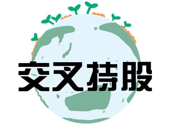 交叉持股安排设计(交叉持股怎么计算持股比例)资阳市